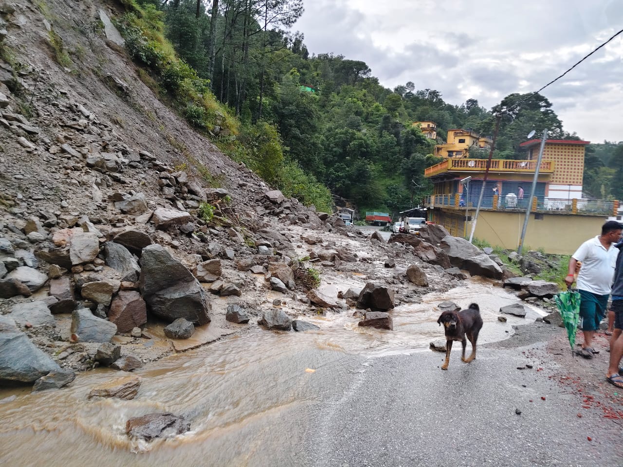 WhatsApp Image 2025-09-10 at 4.06.39 PM (1)