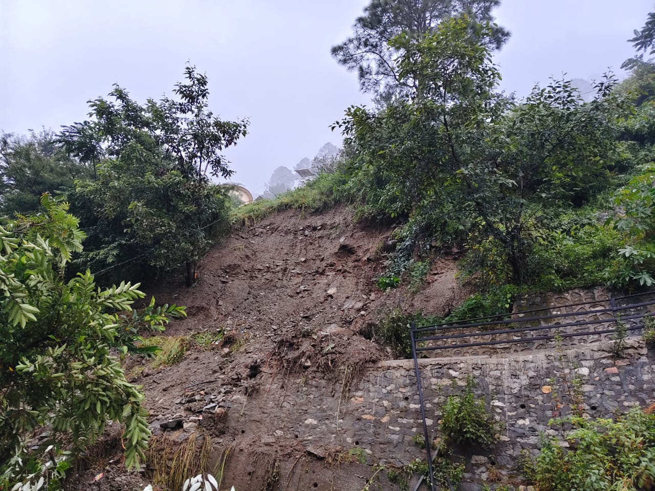 WhatsApp Image 2025-09-10 at 4.06.41 PM